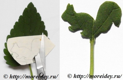 Штампы из листьев, отпечатки листьями растений, необычные штампы из листьев 