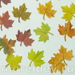 Аппликации из осенних листьев с помощью фигурных дыроколов