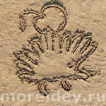 Рисунки из контуров ладошек на песке