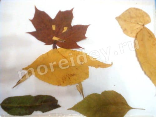 аппликация из осенних листьев для детей