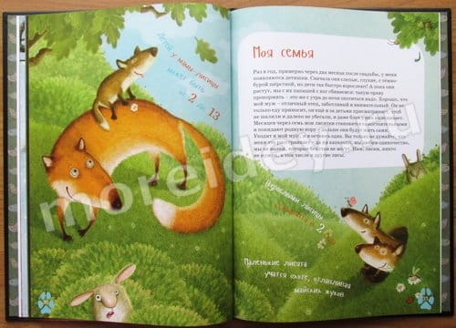 книги о животных для детей