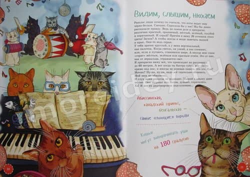 Книга "Я кот" Сергей Юрский